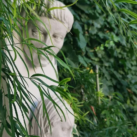 Mit Terrasse, Garten Und Gemeinschaftspool